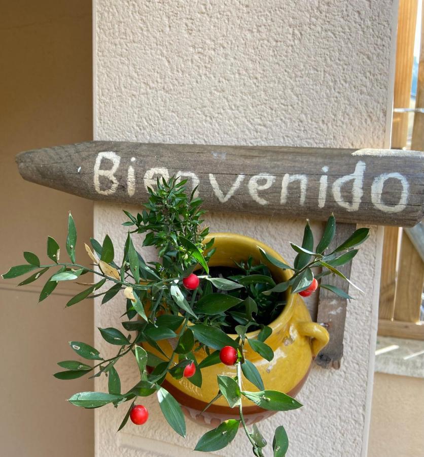 Olivella Raco Del Garraf Ca La Matilde House Bbq And Poolヴィラ エクステリア 写真